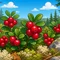 Брусника — жемчужина Карелии