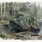 Камни-хранители: легенды и поверья о волшебных камнях Карелии