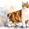 Карельский бобтейл — кошка с хвостом-помпоном и памятник в Сортавала
