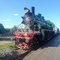 Паровоз Су-250-74