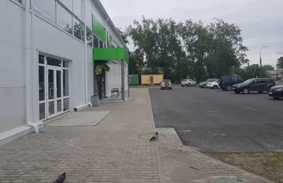 Пятерочка на ул. Маяковского 1