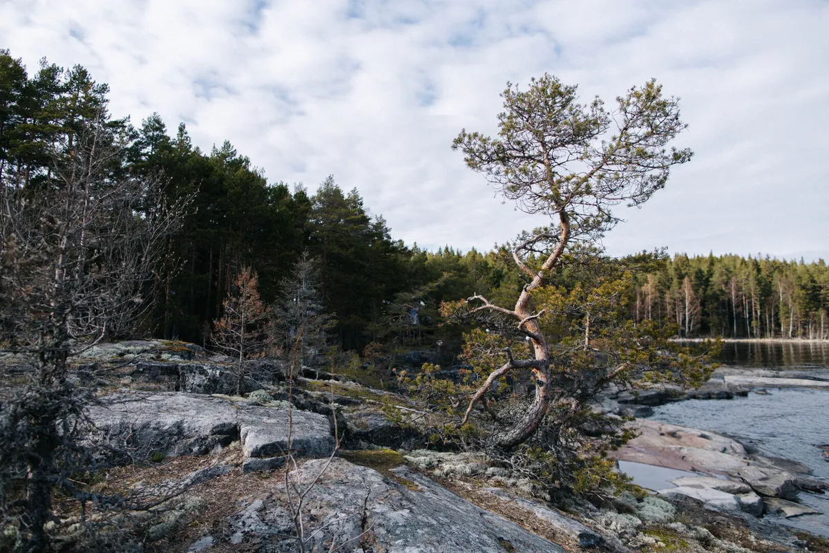 Глэмпинг Lago Ladoga — фото 4